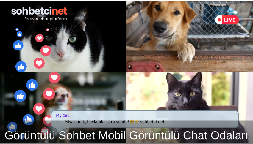 Görüntülü Sohbet Mobil Görüntülü Chat Odaları 1 Görüntülü Sohbet Mobil Görüntülü Chat Odaları